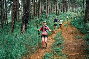 BIB: 
                            <button type="button" onclick="openModal(25677062)" class="btn btn-primary btn-sm float-right btn-popup" data-toggle="modal" data-target=".modal-high-quality">
                        <i class="fas fa-shopping-cart"></i> Add to Cart
                    </button>
                                            <button type="button" onclick="isThisMe(25677062, true)" class="btn btn-success btn-sm float-right btn-popup btn-isme hidden" data-toggle="tooltip" data-placement="bottom" title="นี่คือรูปของคุณใช่ไหม คลิกที่นี่เพื่อเอาเข้าอัลบั้ม">
                        <i class="fas fa-plus"></i> Add to album
                    </button>
                    <button type="button" onclick="isThisMe(25677062, false)" class="btn btn-warning btn-sm float-right btn-popup btn-isnotme hidden">
                        <i class="fas fa-ban"></i> Remove from album
                    </button>